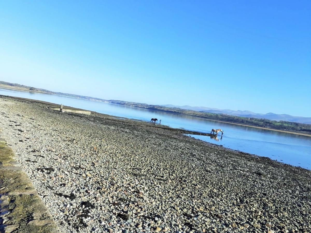 Gwenallt Dwyran Buitenkant foto