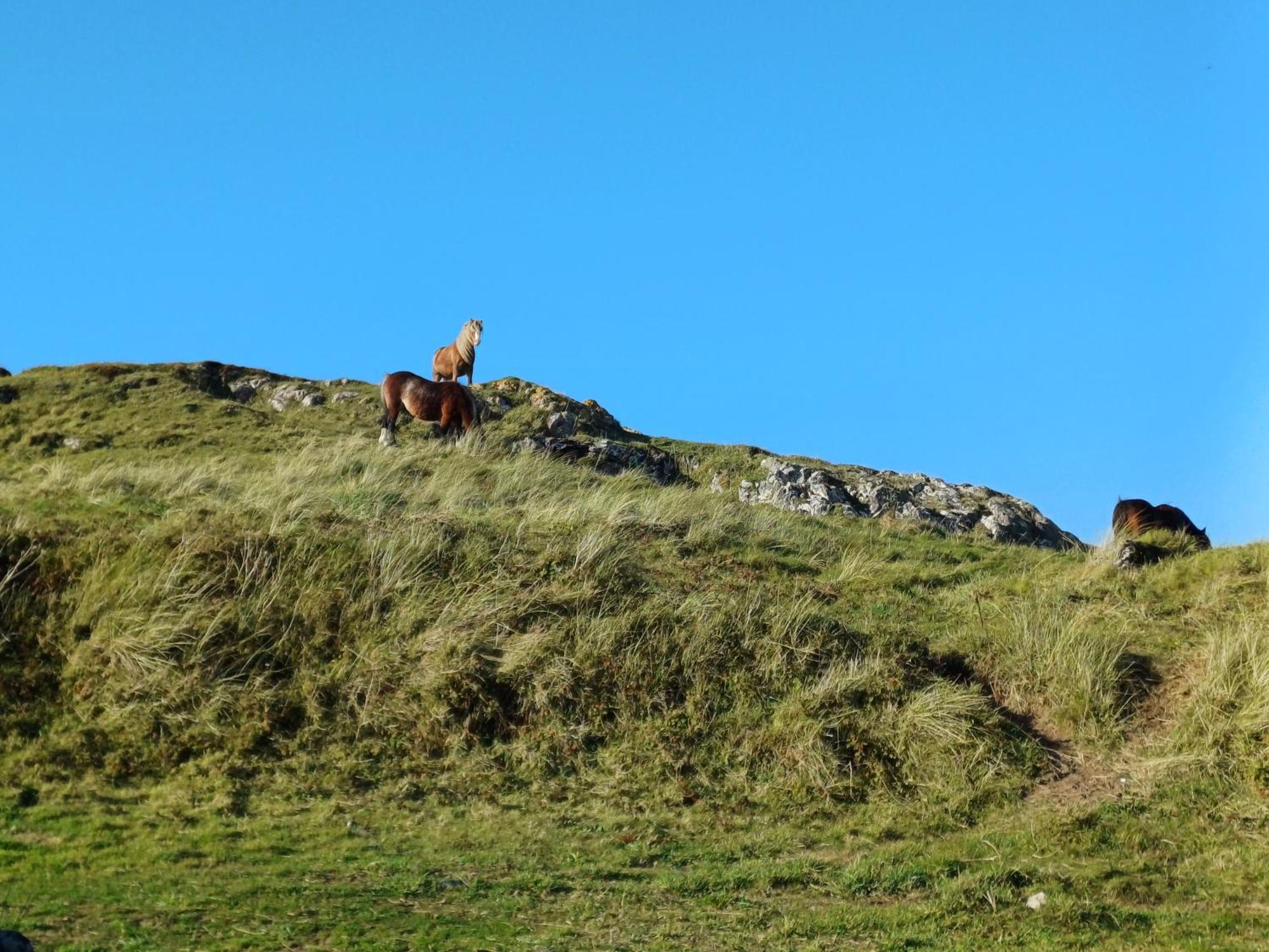 Gwenallt Dwyran Buitenkant foto