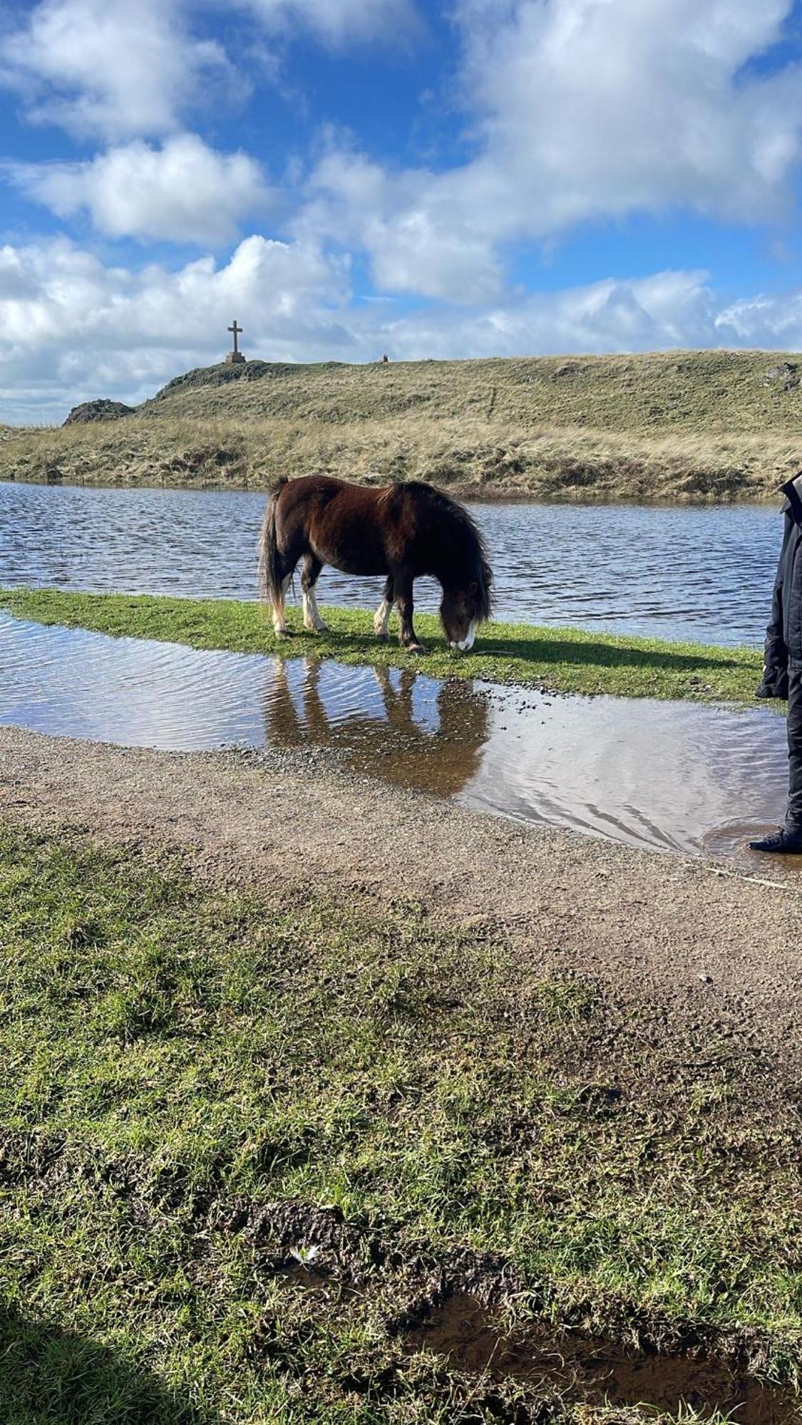 Gwenallt Dwyran Buitenkant foto